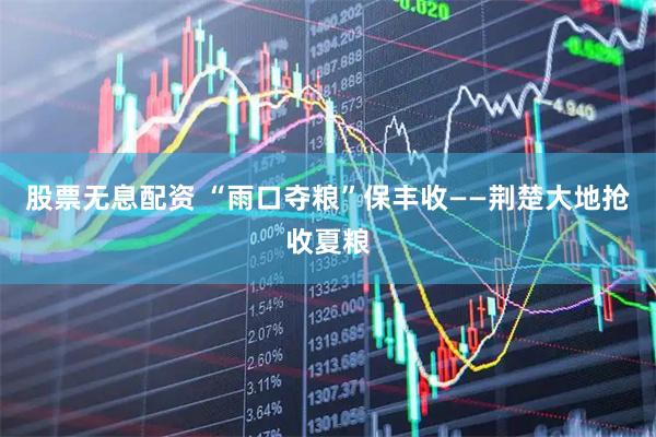 股票无息配资 “雨口夺粮”保丰收——荆楚大地抢收夏粮