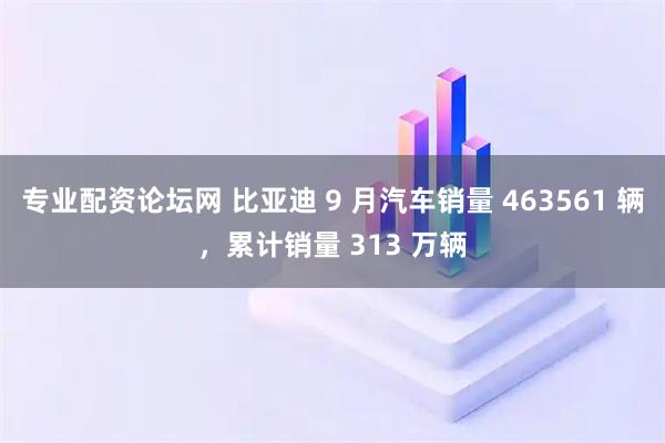 专业配资论坛网 比亚迪 9 月汽车销量 463561 辆，累计销量 313 万辆