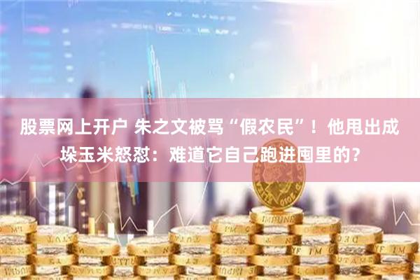 股票网上开户 朱之文被骂“假农民”！他甩出成垛玉米怒怼：难道它自己跑进囤里的？